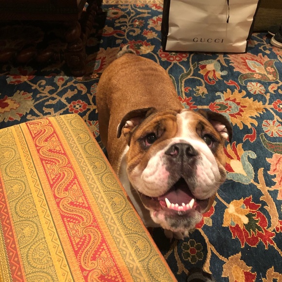 Meet your Posher, Zachary - Picture 1 of 1